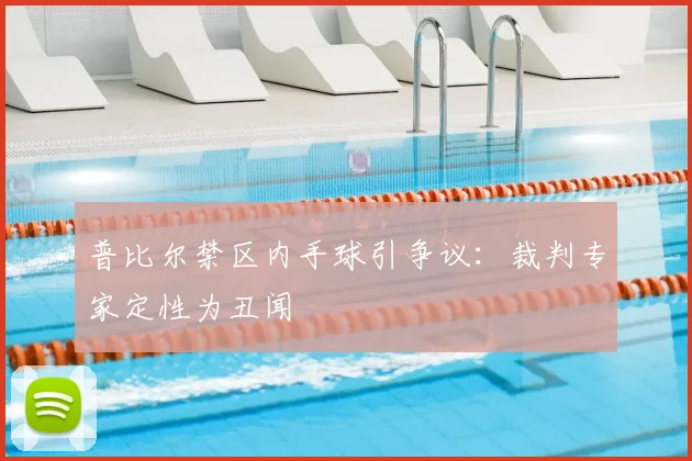 普比尔禁区内手球引争议：裁判专家定性为丑闻